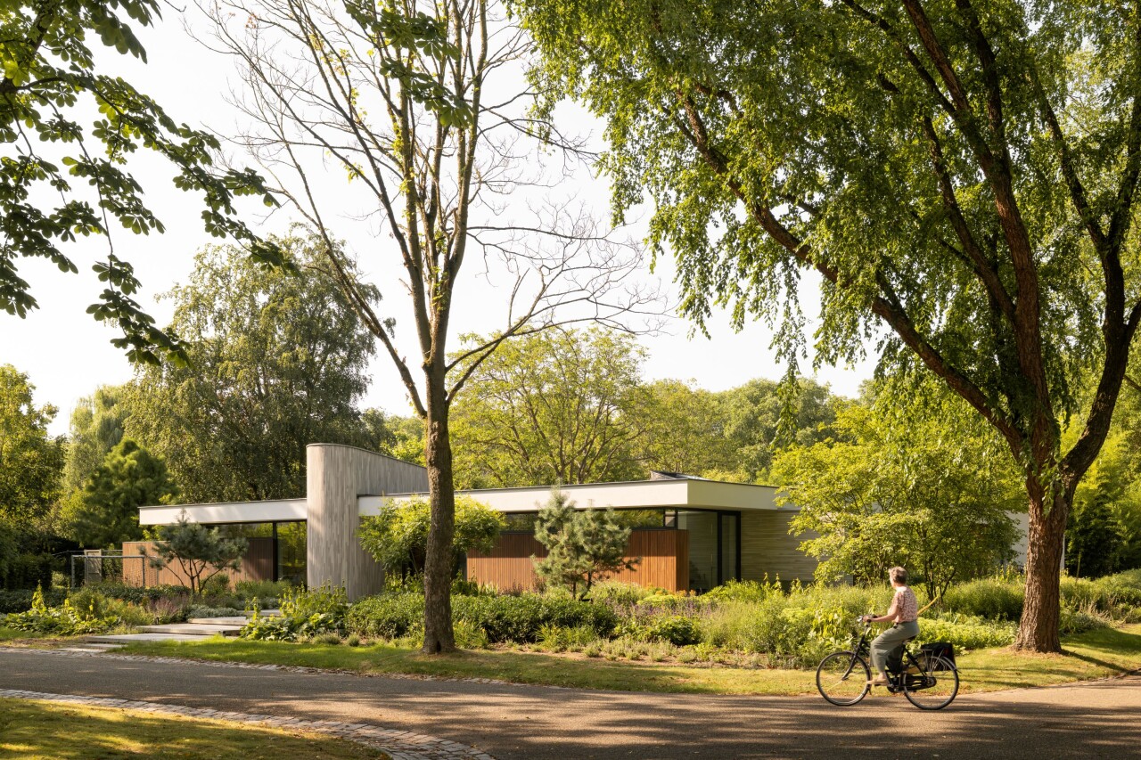 &copy; Aiste Rakauskaite 16   website (4)